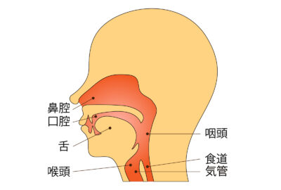 「のど」の漢方のアイキャッチ画像